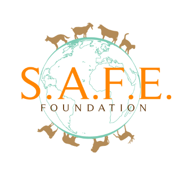 S.A.F.E. Foundation