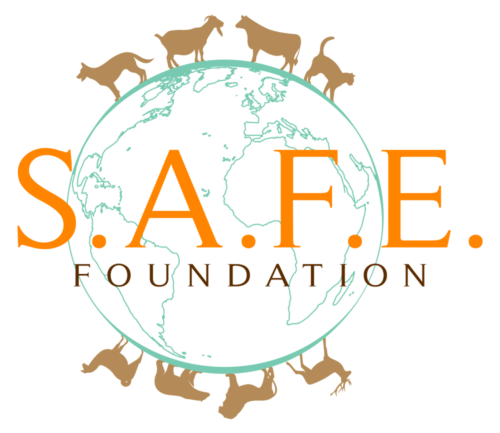 S.A.F.E. Foundation